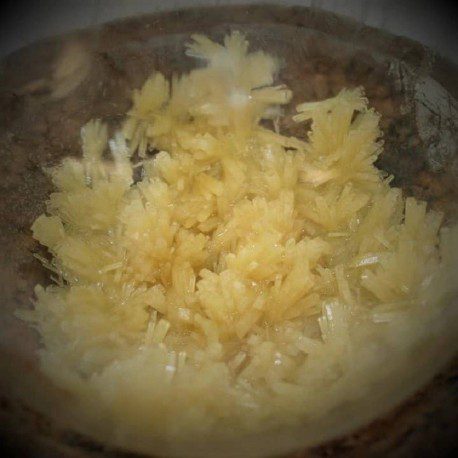 Buy-Dimethyltryptamine-Online.jpg